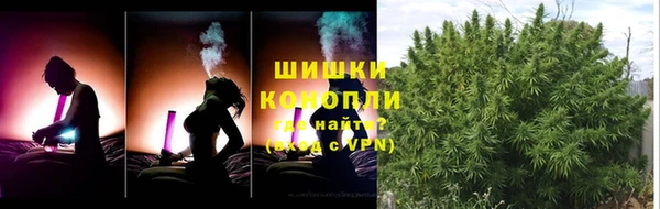 дурь Киселёвск