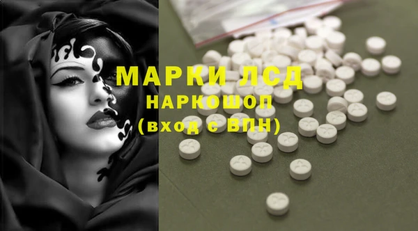 стафф Магадан
