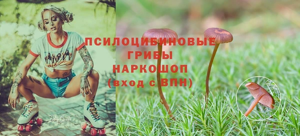 марки nbome Магас