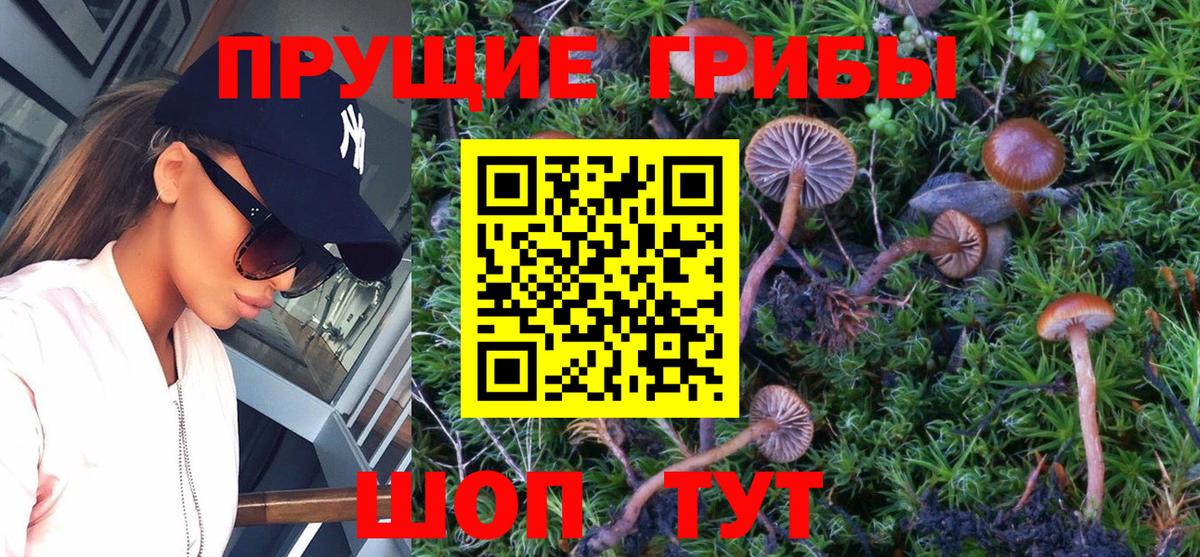 Галлюциногенные грибы MAGIC MUSHROOMS  Вход с VPN  Новоалтайск 